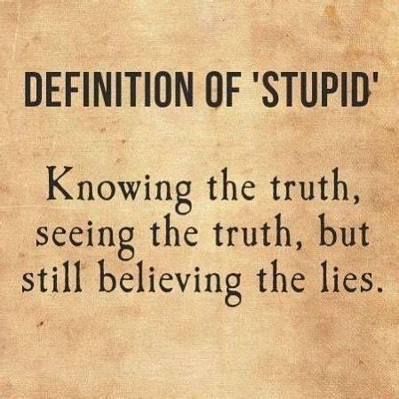 meaning of stupid